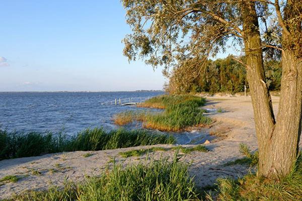 Vila Huus Am Darss Fuhlendorf  Exteriér fotografie